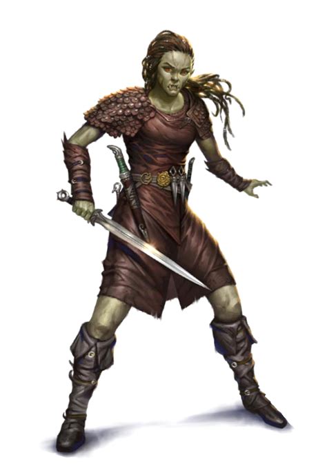 Female Half Orc Rogue Fighter Pathfinder PFRPG DND D D Th Ed D
