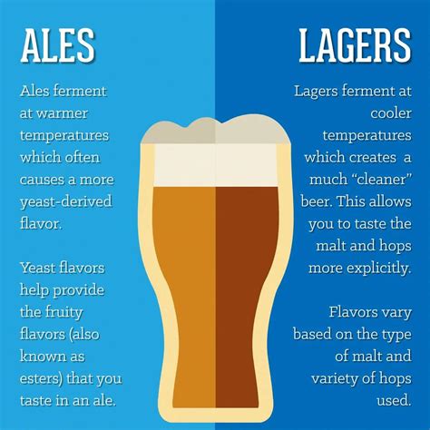 The Differences Between Ale And Lager