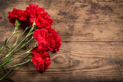 Red Carnations Yahoo Search Results Image Search Results Red Carnation Carnation Flower