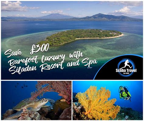 Luxury Dive Holiday In The Heart Of Bunaken National Park
