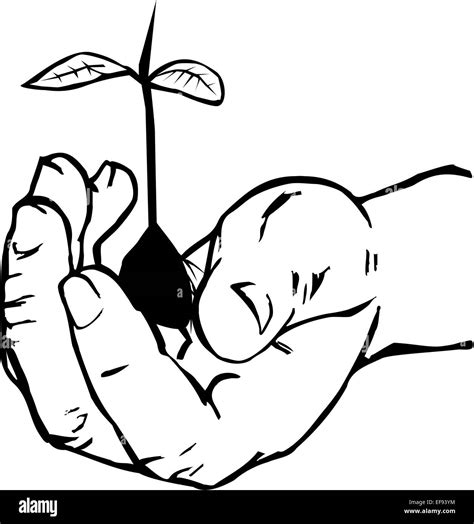 Hand Holding Plant Stock Vector Image And Art Alamy
