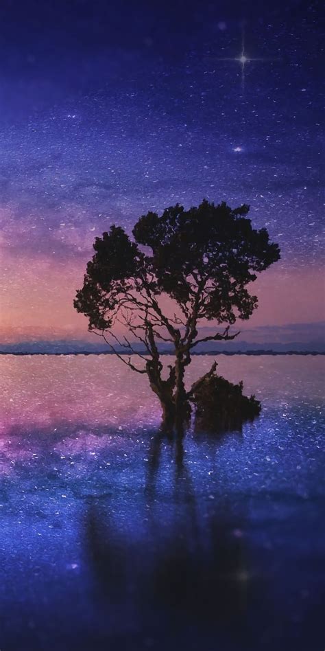 Silhouette Tree Lake Starry Night 1080x2160 Wallpaper Starry