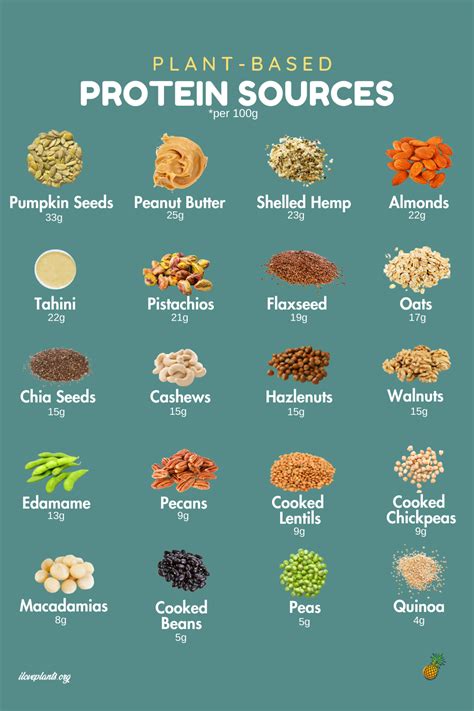 25 Totally Awesome Sources Of Plant Based Protein Vegan Protein