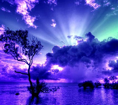Purple Sky Hd Nature 4k Wallpapers Images Backgrounds
