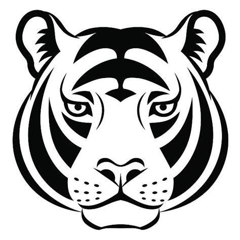 Drawing at getdrawings com free for x. Best Black And White Tiger Illustrations, Royalty-Free ...