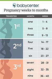 Counting Your Pregnancy In Weeks Months And Trimesters Babycenter India