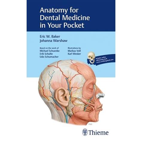 Anatomy Anatomy For Dental Medicine In Your Pocket