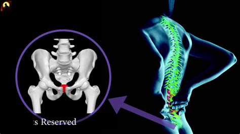 Coccyx Tailbone Treatment And Healing Binaural Beat Tailbone Pain Relief