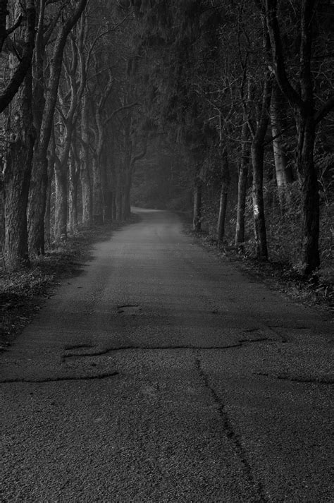 Mysterious Forest Road By Milan Tesar Forest Road Road Forest