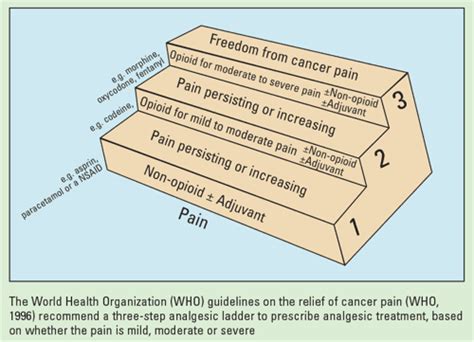 A Guide To Cancer Pain Management Semantic Scholar