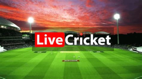 Crictime Live Streaming Cricket Scores The Frisky