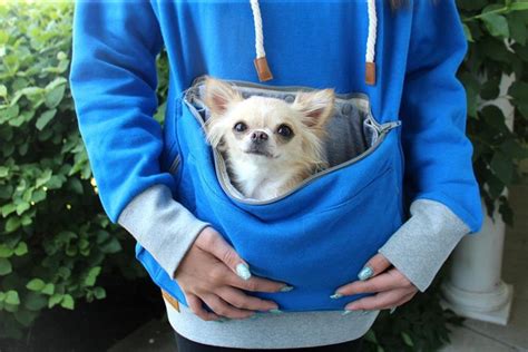 Roodie Pet Pouch Hoodie Cat Dog Small Pet Holder Cuddle Etsy