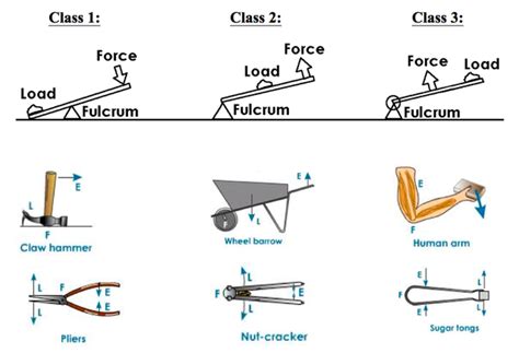 types of simple machine online science notes