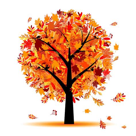 Albums 90 Pictures Images Of Fall Leaves And Trees Superb