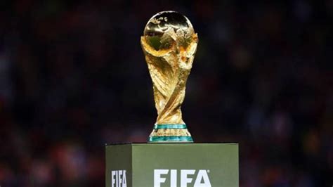 Argentina Vs Francia Final Copa Mundial 2022 ¿cuánto Cuesta Y Pesa La
