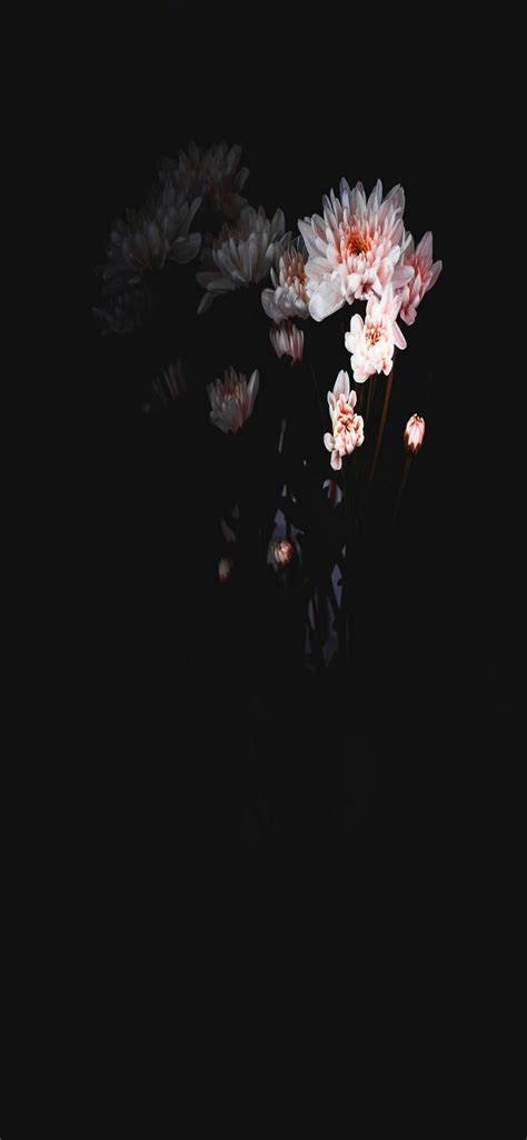 Dark Flowers Wallpapers Wallpaper Cave