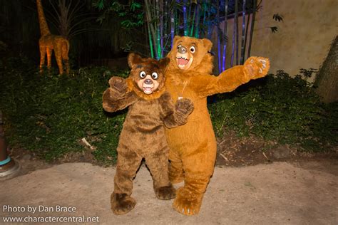 Brother Bear Movie At Disney Character Central