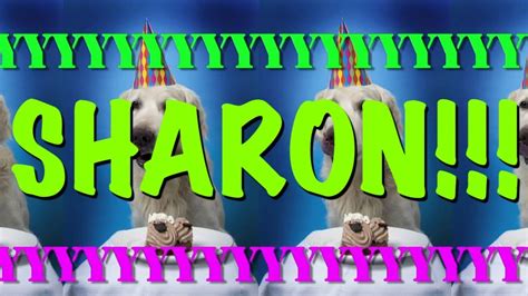 Happy Birthday Sharon Meme