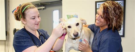 Veterinary | Volunteer State Community College