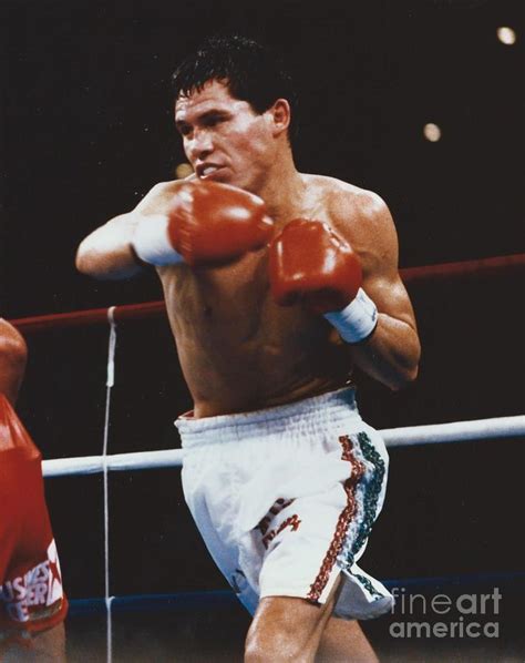 Julio cesar chavez jr fights anderson silva tonight (june 19) in mexico. Julio Cesar Chavez Photograph by Dennis ONeil