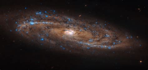 Hubble Looks At Stunning Spiral Galaxy Ngc 4100 Astronomy Sci
