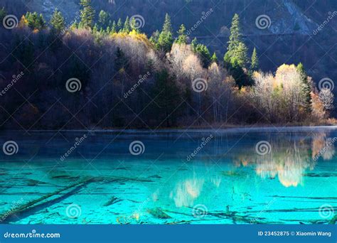 Autumn Tree Mountain And Lake In Jiuzhaigou Stock Image Image Of