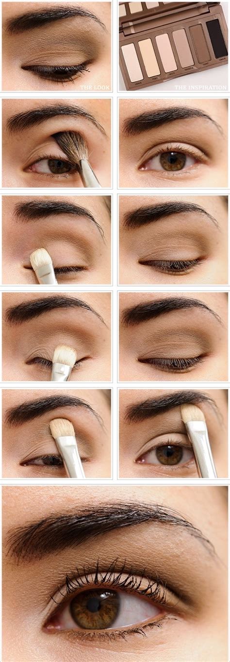 Simple And Elegant Basic Eye Makeup For Beginners Ohh My My