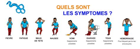 Ebola virus disease (evd) is a severe disease caused by ebola virus, a member of the filovirus family, which occurs in humans and other primates. Comité Local de la Croix Rouge des Parcelles Assainies et ...