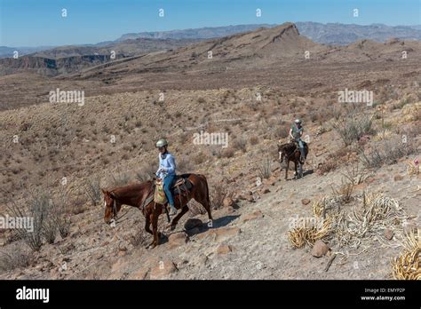 Horseback Riding In Big Bend Ranch State Park Texas Usa Stock Photo
