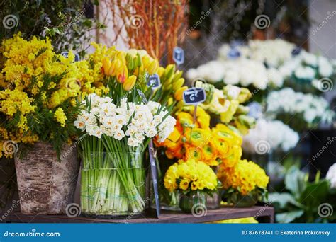 Outdoor Flower Market In Paris France Stock Image Image Of France