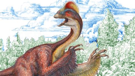 Anzu Wyliei New Bird Like Dinosaur Discovered Paleontology Sci