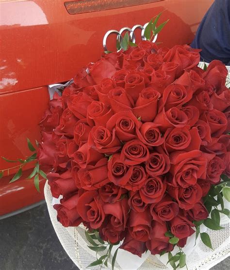 4 Dozen Red Roses Beautifully Wrapped In Warwick Ri Petals Florist