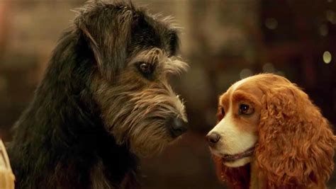 Susi és tekergő 1955 teljes film online magyarul walt disney egyik legbájosabb és legszeretetreméltóbb rajzfilmjének hõsei kutyák. Susi Es Tekergo Teljes Film 2019 - Gandhi 1982 ONLINE ...