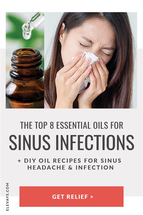 Top 8 Essential Oils For Sinus Infections Elevays
