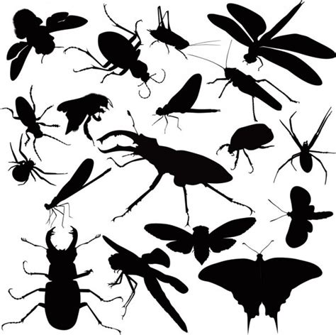 Isolated Icons Of Insects Vector Illustration Stock Vector Image By