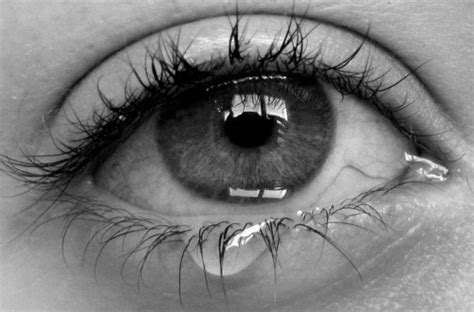 Spongebob black eye / why my kid eyes sunken health amino : Katja´s Bücherwelt: Blogtour Blackstorm »Traumata ...