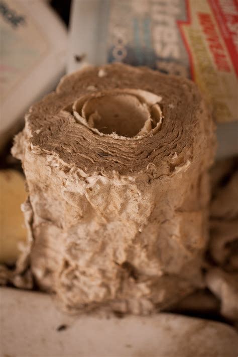 Ancient Toilet Paper Well A Few Decades Old Anyway Ac Flickr