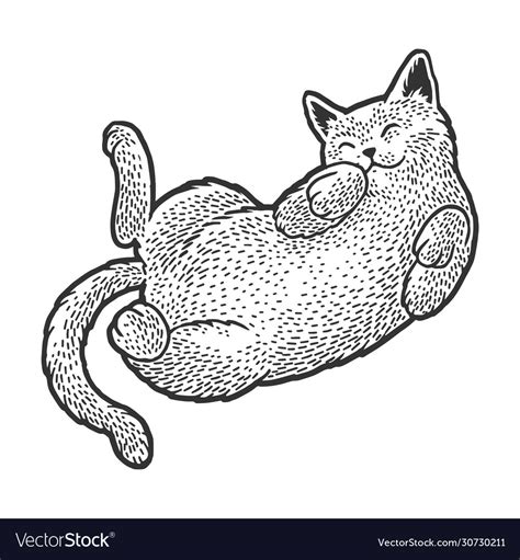 Cat Sleeping On Back Sketch Royalty Free Vector Image