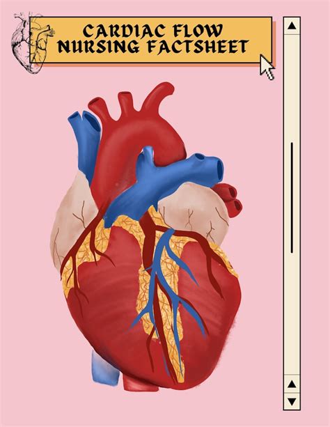 Cardiac Nursing Cheat Sheet Etsy