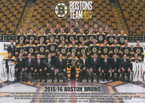 201516 Boston Bruins Season Ice Hockey Wiki Fandom