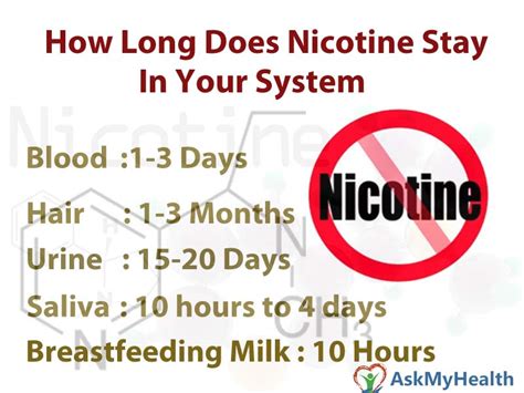 How Long Does Nicotine Stay In Your System Blood Hair Saliva Urine