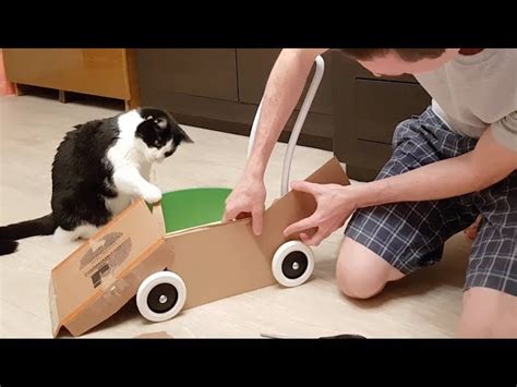 Daddy Built A Batmobile For His Cat Ichaowu 愛潮物