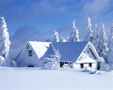 Inverno A Schermo Intero Download Di Sfondi Invernali 1280x1024