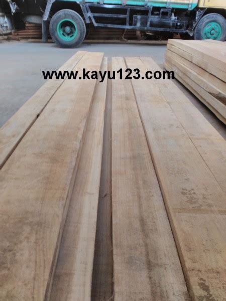 Harga kayu sungkai, jual kayu sungkai, spesifikasi kayu sungkai