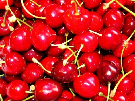 Cherry Red Fruit Free Stock Photos In Jpeg  3000x2250 Format For
