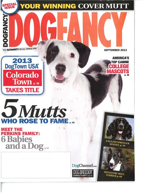 National Magazine Ranks Glendale As Top Dog In Southwest For Canine