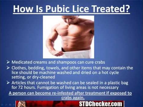 Public Lice Important STD Info Symptoms And Treatment YouTube