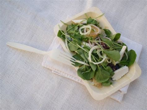 The Best Ever Fennel And Watercress Salad Hubpages