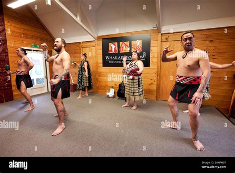 Whakarewarewa Maori Village Haka Traditional Performance Dance Stock