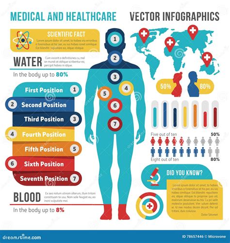 Medical And Healthcare Vector Infographics With Human Body Stock Vector